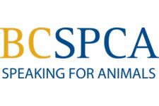 Logo for BC SPCA – Abbotsford Logo for BC SPCA – Abbotsford