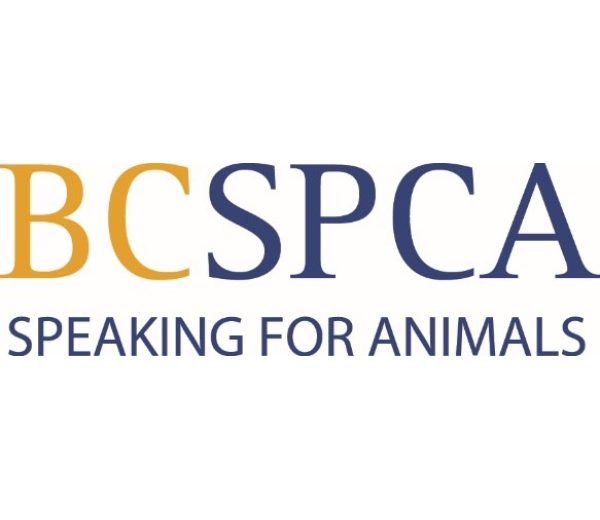 Photo of BC SPCA Photo of BC SPCA