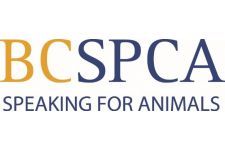 Logo for BC SPCA Logo for BC SPCA