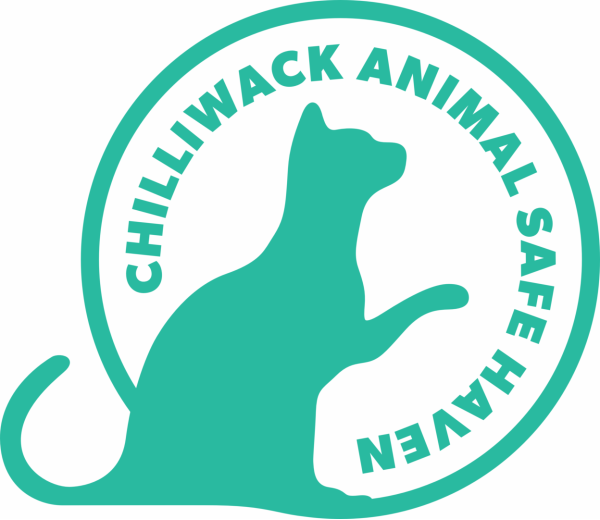 Photo of Chilliwack Animal Safe Haven Photo of Chilliwack Animal Safe Haven