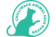 Logo for Chilliwack Animal Safe Haven Logo for Chilliwack Animal Safe Haven